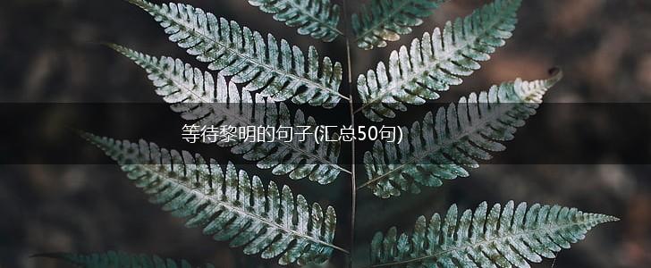 等待黎明的句子(汇总50句),第1张