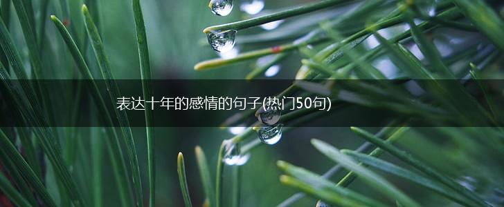表达十年的感情的句子(热门50句),第1张