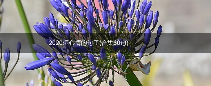 2020晒心情的句子(合集60句),第1张