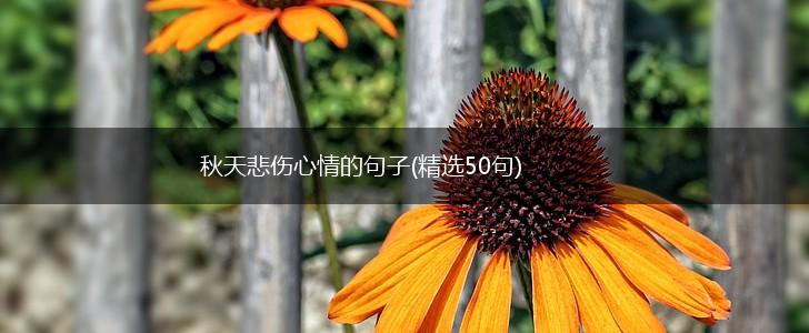 秋天悲伤心情的句子(精选50句),第1张