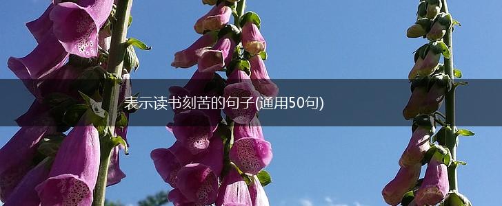 表示读书刻苦的句子(通用50句),第1张