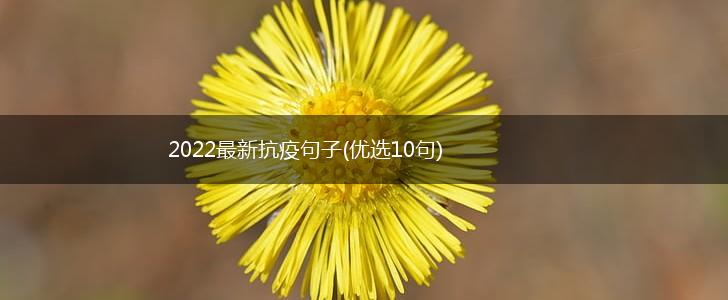 2022最新抗疫句子(优选10句),第1张