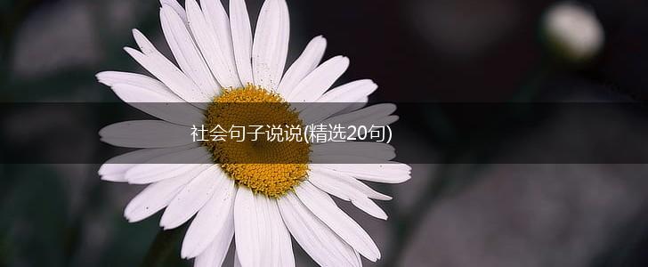 社会句子说说(精选20句),第1张