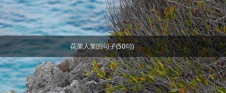 花美人美的句子(50句),第1张