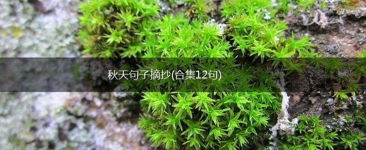 秋天句子摘抄(合集12句),第1张