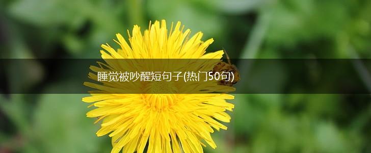 睡觉被吵醒短句子(热门50句),第1张