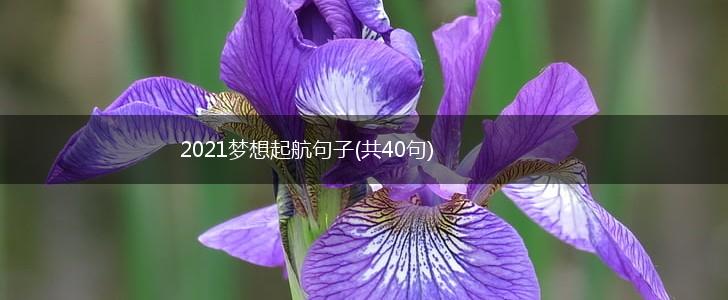 2021梦想起航句子(共40句),第1张
