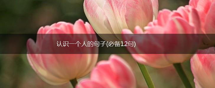 认识一个人的句子(必备12句),第1张