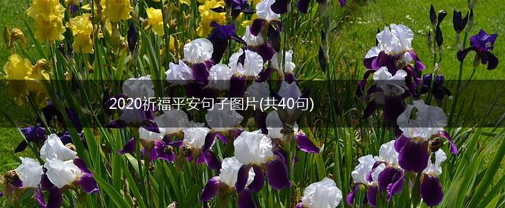 2020祈福平安句子图片(共40句),第1张