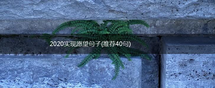 2020实现愿望句子(推荐40句),第1张