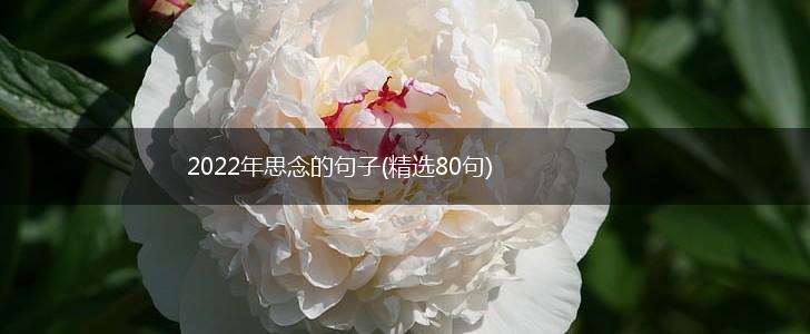 2022年思念的句子(精选80句),第1张