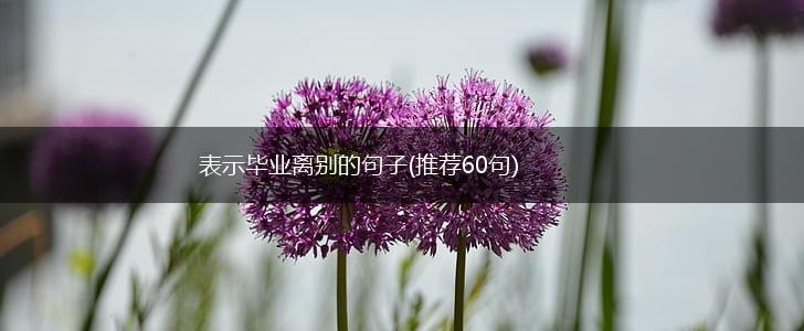 表示毕业离别的句子(推荐60句),第1张