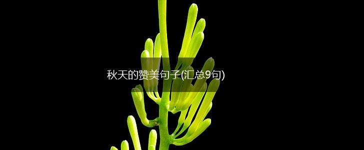 秋天的赞美句子(汇总9句),第1张