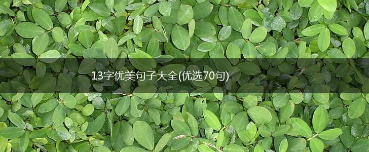 13字优美句子大全(优选70句),第1张