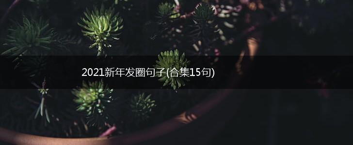 2021新年发圈句子(合集15句),第1张