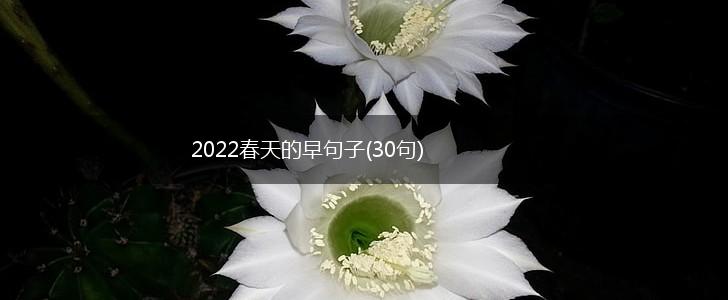 2022春天的早句子(30句),第1张