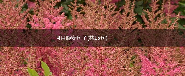 4月晚安句子(共15句),第1张