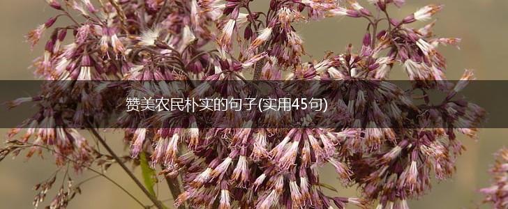 赞美农民朴实的句子(实用45句),第1张