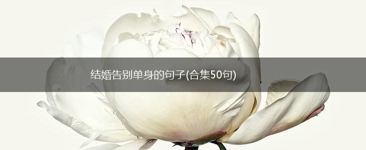 结婚告别单身的句子(合集50句),第1张