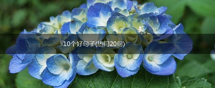 10个好句子(热门20句),第1张