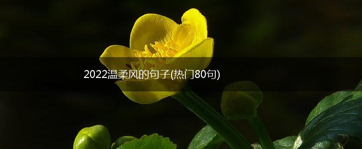 2022温柔风的句子(热门80句),第1张
