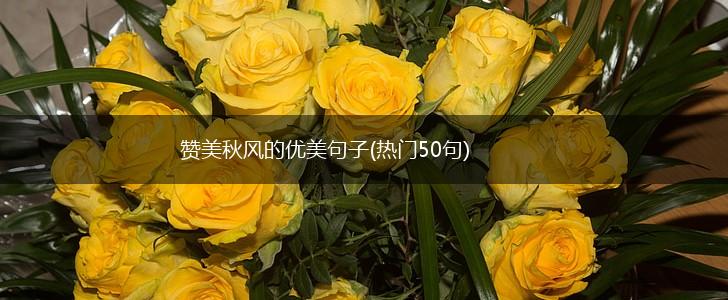 赞美秋风的优美句子(热门50句),第1张