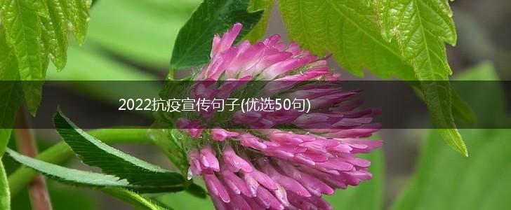 2022抗疫宣传句子(优选50句),第1张
