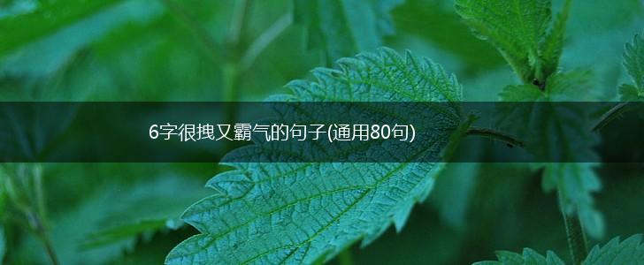 6字很拽又霸气的句子(通用80句),第1张