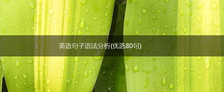 英语句子语法分析(优选80句),第1张