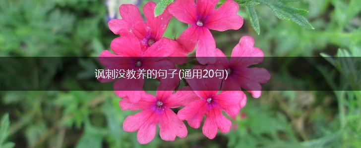 讽刺没教养的句子(通用20句),第1张