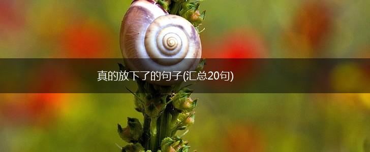真的放下了的句子(汇总20句),第1张