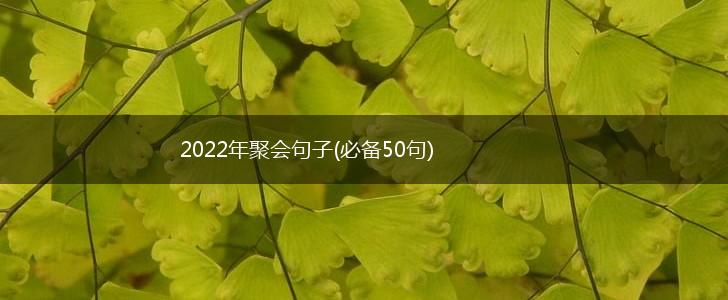 2022年聚会句子(必备50句),第1张