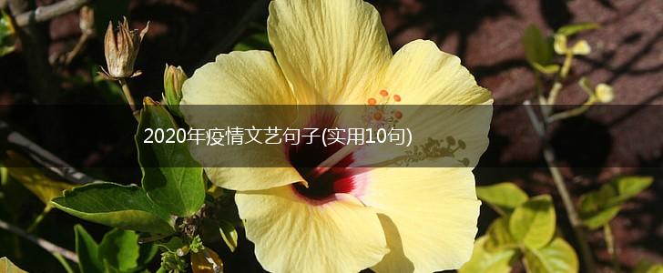 2020年疫情文艺句子(实用10句),第1张