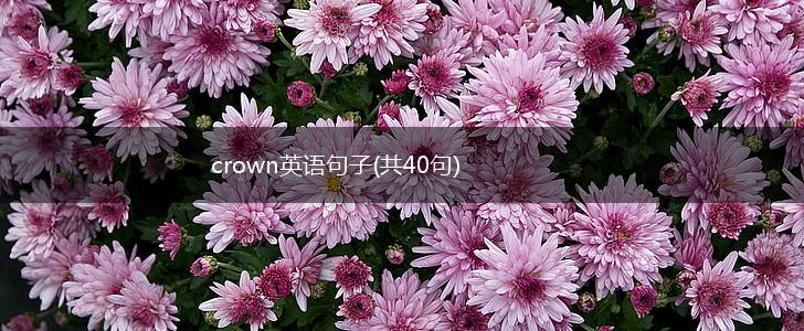 crown英语句子(共40句),第1张