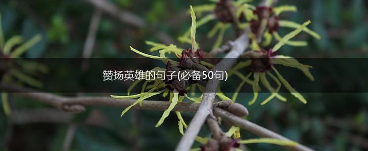 赞扬英雄的句子(必备50句),第1张