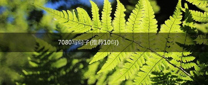 7080写句子(推荐10句),第1张