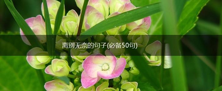 离别无奈的句子(必备50句),第1张