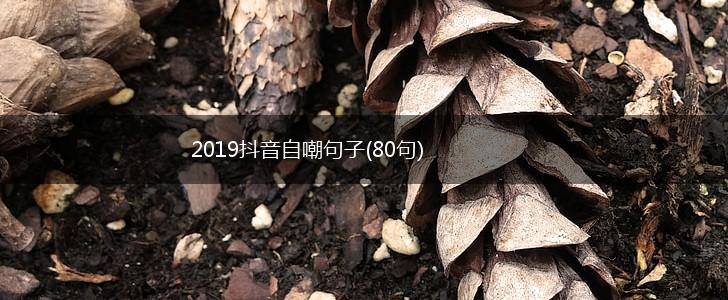 2019抖音自嘲句子(80句),第1张