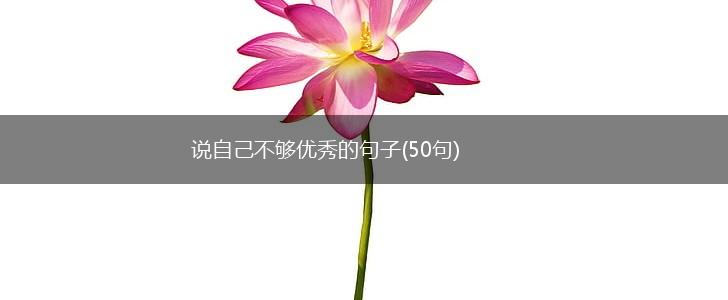 说自己不够优秀的句子(50句),第1张