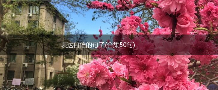 表达自信的句子(合集50句),第1张