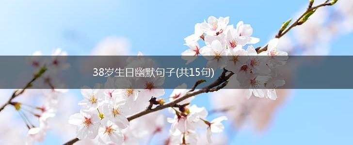 38岁生日幽默句子(共15句),第1张