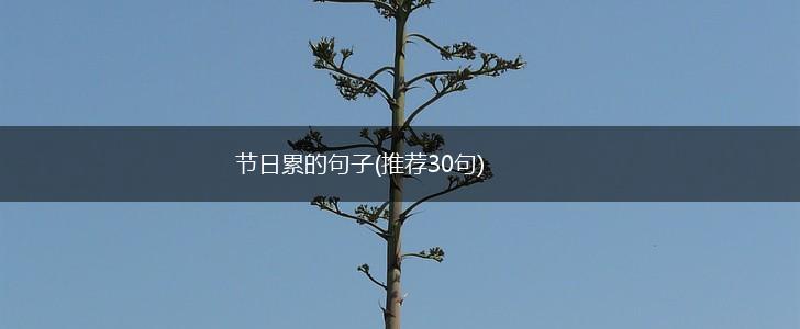 节日累的句子(推荐30句),第1张