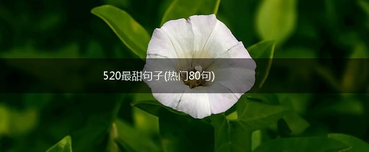 520最甜句子(热门80句),第1张