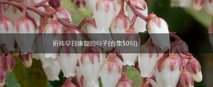 祈祷早日康复的句子(合集50句),第1张