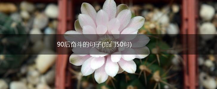 90后奋斗的句子(热门50句),第1张