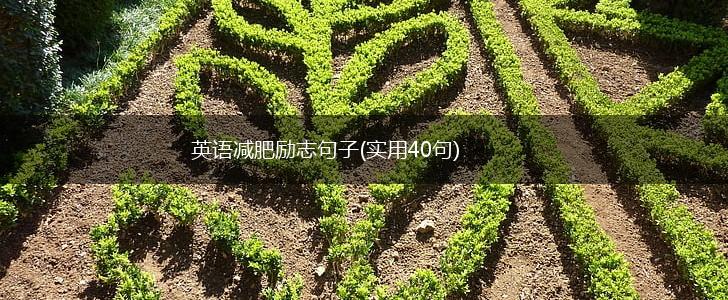 英语减肥励志句子(实用40句),第1张