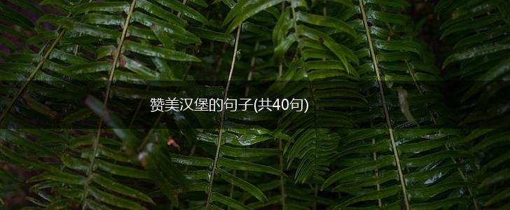赞美汉堡的句子(共40句),第1张