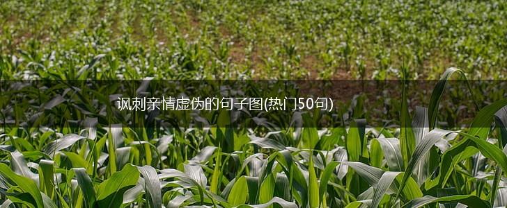 讽刺亲情虚伪的句子图(热门50句),第1张