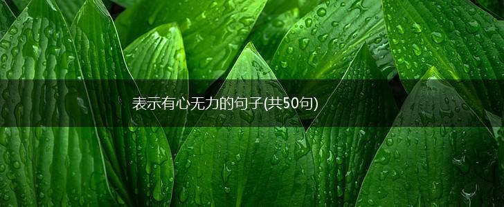 表示有心无力的句子(共50句),第1张