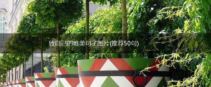 致自己的唯美句子图片(推荐50句),第1张